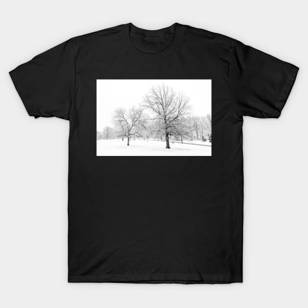 2 Trees in the snow T-Shirt by ShootFirstNYC